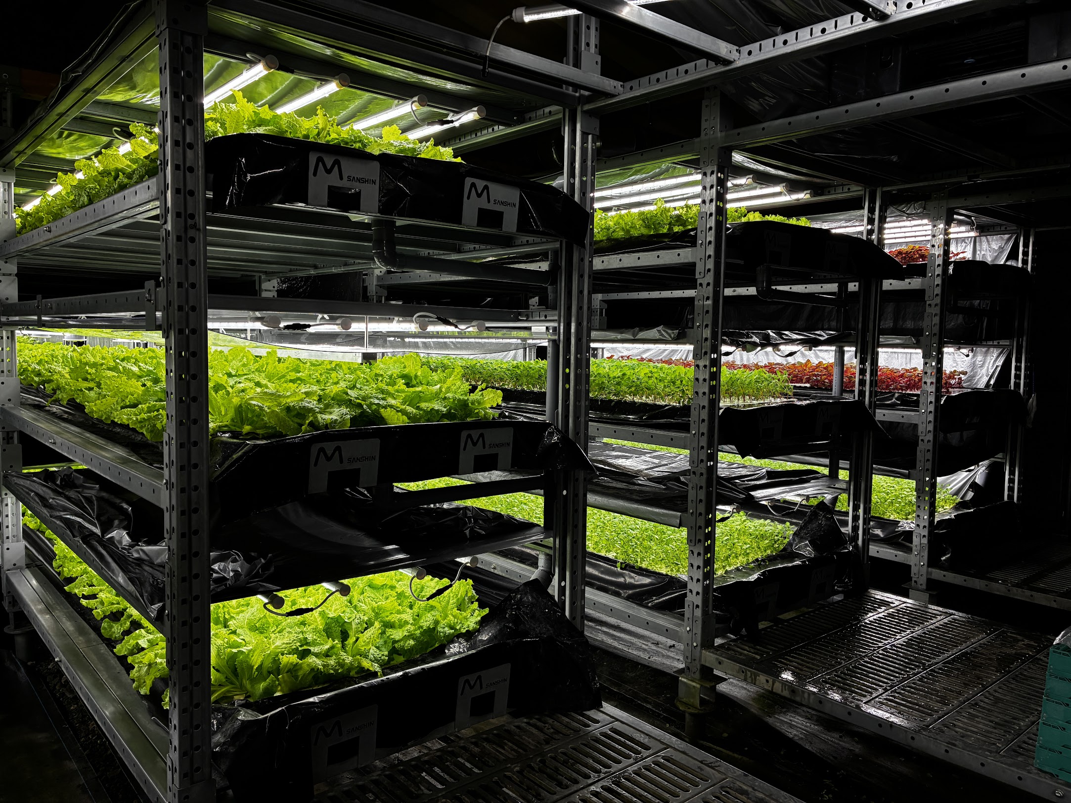 M式水耕研究所の最先端水耕栽培研究設備